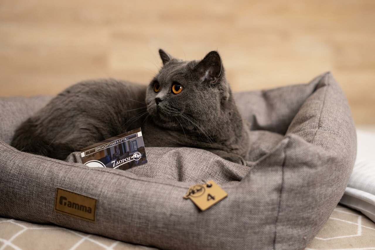 Гостиница 7 Дорог Иркутск-238