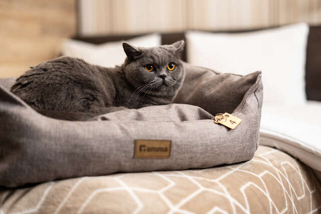 Гостиница 7 Дорог Иркутск-31